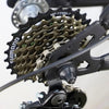 Piñon Shimano Atornillado Tz500 7v 14-28t Original Caja