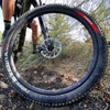 Neumatico 29 X 2.40 Vittoria Syerra Graphene Kevlar Tubeless Mi tienda-Repuesto-de-bicicleta