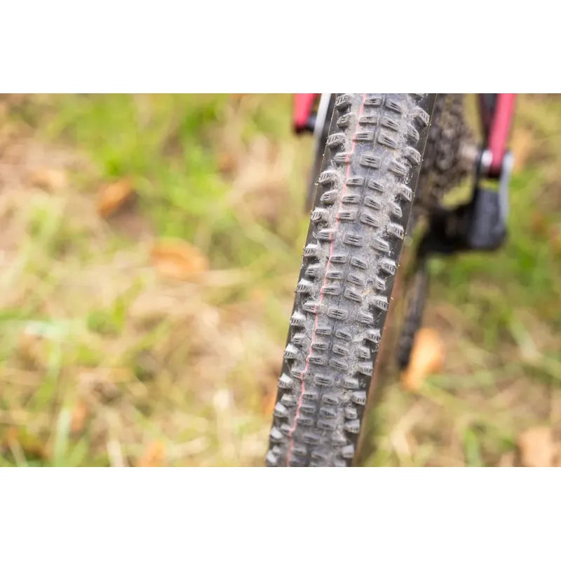 Neumatico29x2.35 Schwalbe Racing Ralph Addix Speed Race Tlr Negro-marron