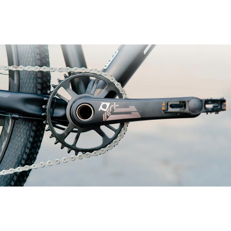 Volante Monoplato Prowheel Bsa Integrado 11/12v 32t C/motor