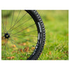 Neumatico Maxxis Assegai 29 X 2.50wt Exo Kevlar Tubeless